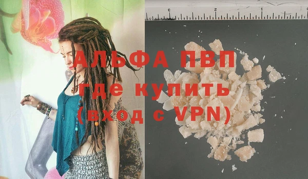 крисы Алзамай