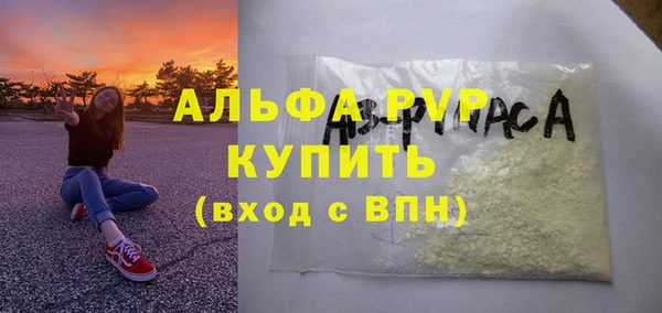 крисы Алзамай